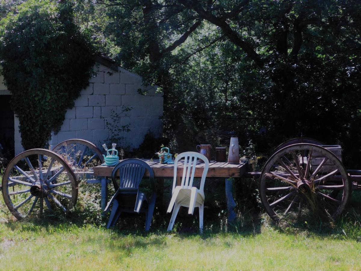 l'heureux bazar Villa Saint-Nectaire Dış mekan fotoğraf